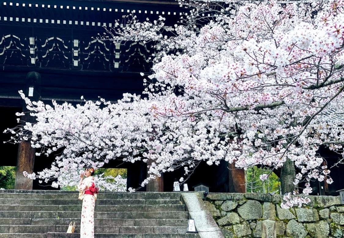 International Guest House Tani House Kyoto Extérieur photo